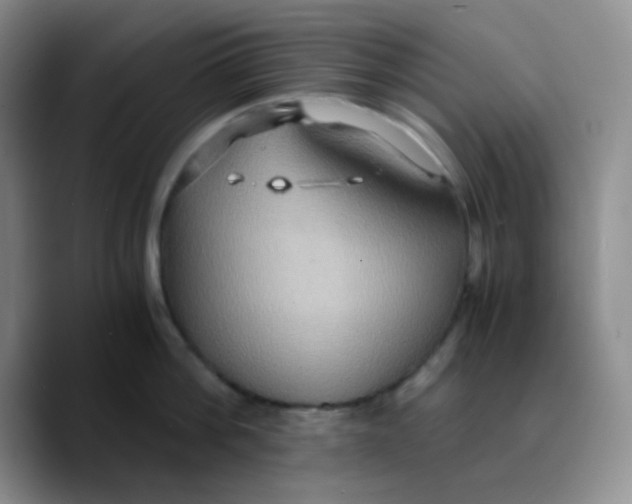X0000089730812200707201840