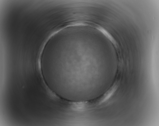 X0000089730813200707201840