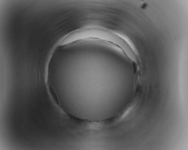 X0000089730815200707201840