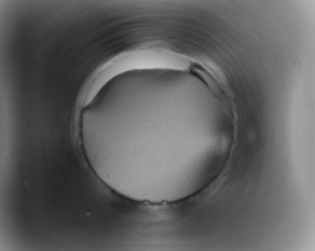 X0000089730816200707201840