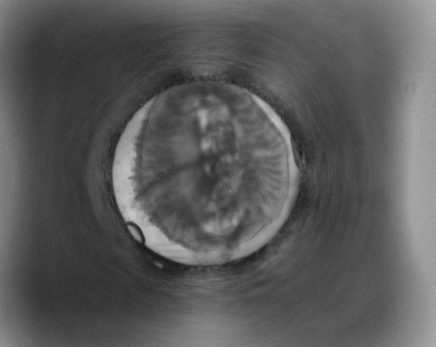 X0000089730817200707201839