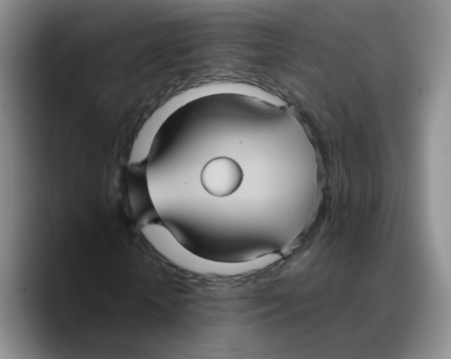 X0000089730818200707201839