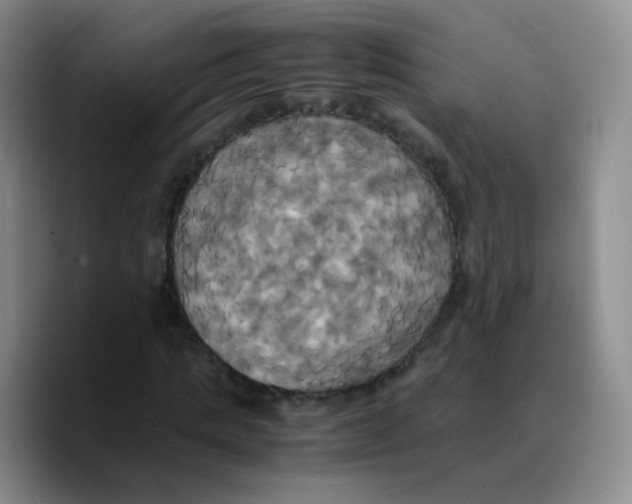 X0000089730821200707201839