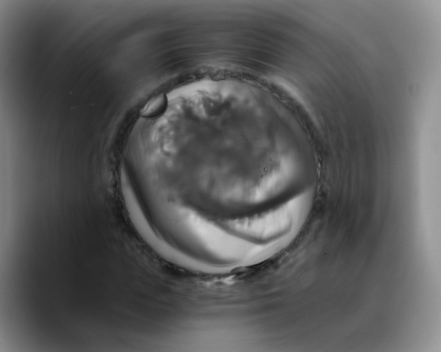 X0000089730823200707201839