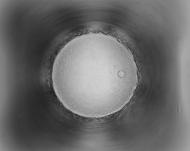 X0000089730824200707201839