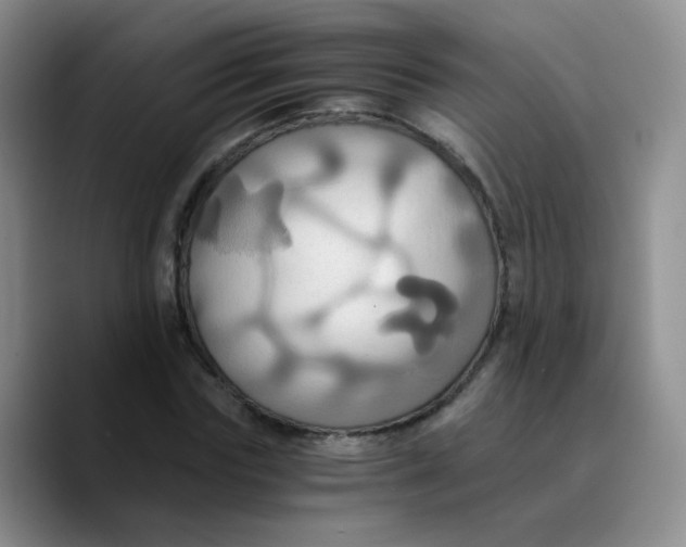 X0000089730827200707201839