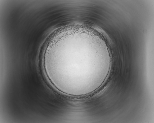 X0000089730828200707201839