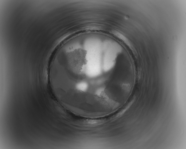 X0000089730829200707201839