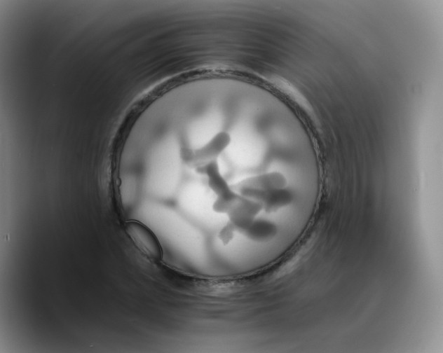 X0000089730831200707201839