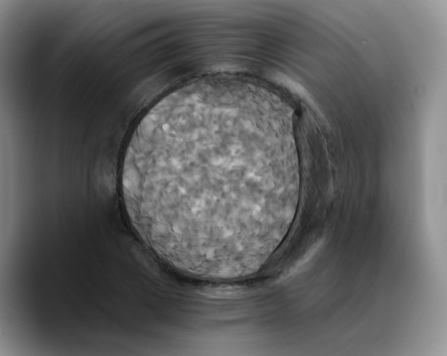 X0000089730833200707201839