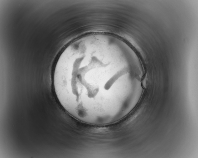 X0000089730837200707201839
