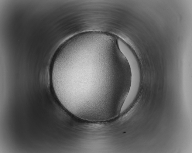 X0000089730838200707201839