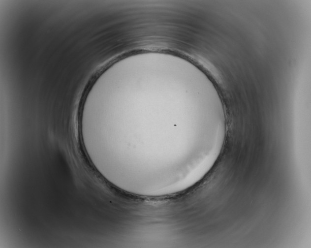 X0000089730840200707201840