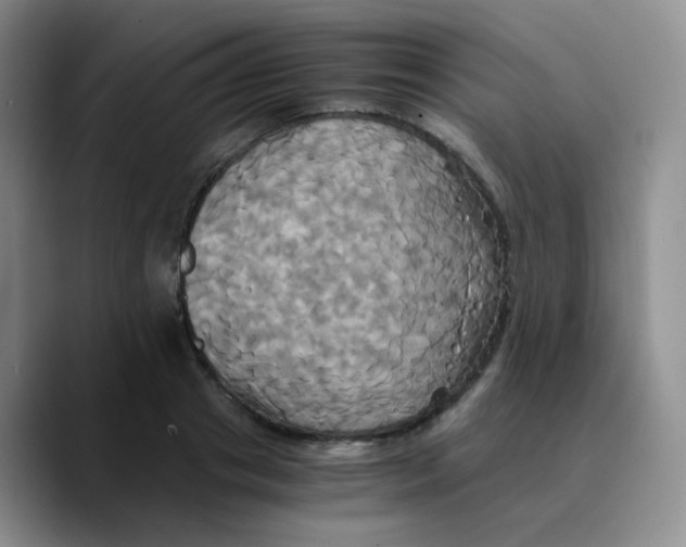 X0000089730841200707201840