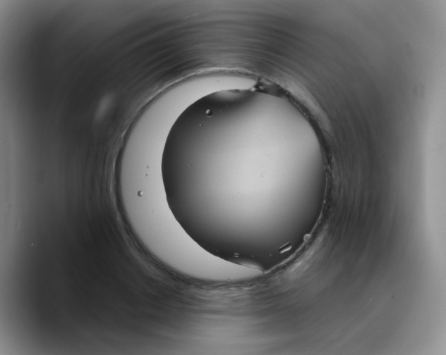 X0000089730842200707201840