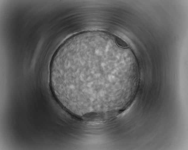 X0000089730844200707201840