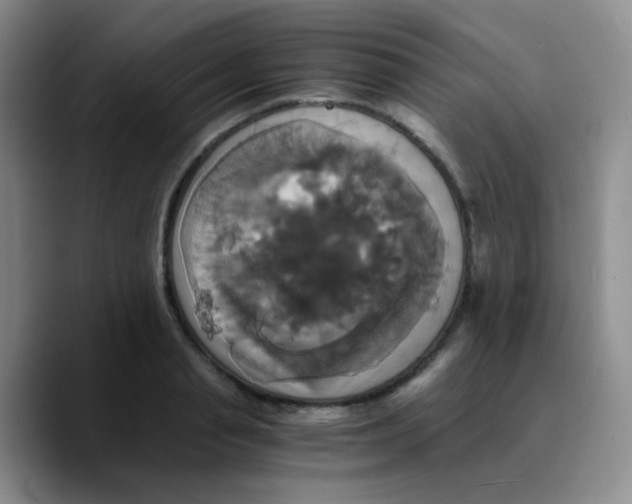 X0000089730845200707201840