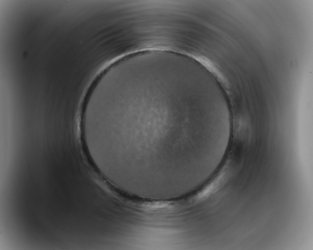 X0000089730846200707201840