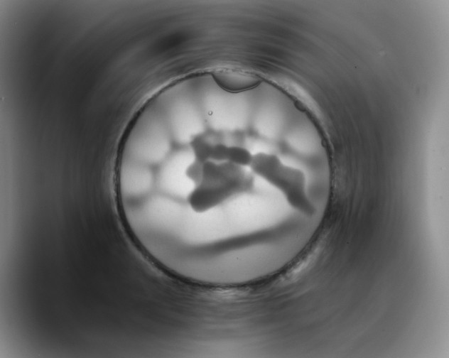 X0000089730847200707201840