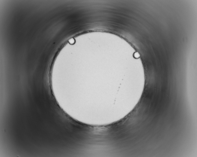 X0000089730848200707201840