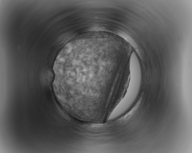 X0000089730849200707201840