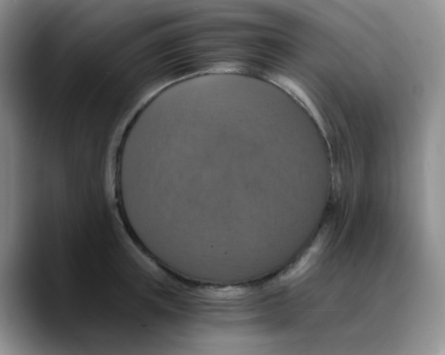 X0000089730851200707201840