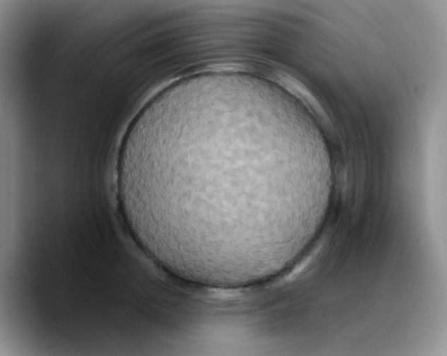 X0000089730852200707201840
