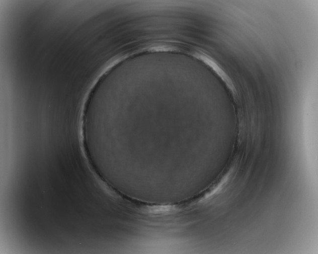 X0000089730853200707201840