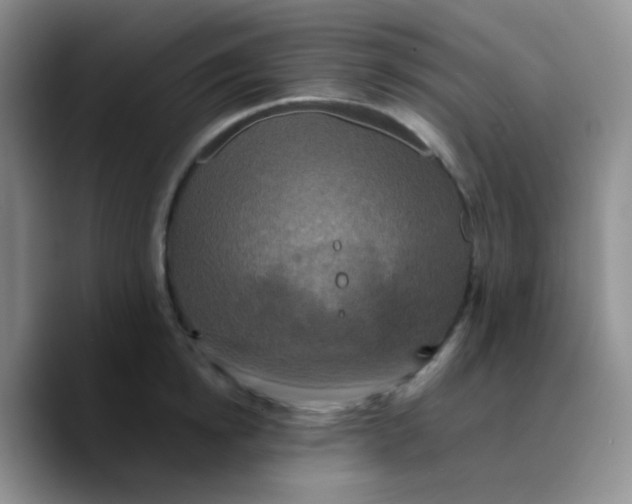 X0000089730854200707201840