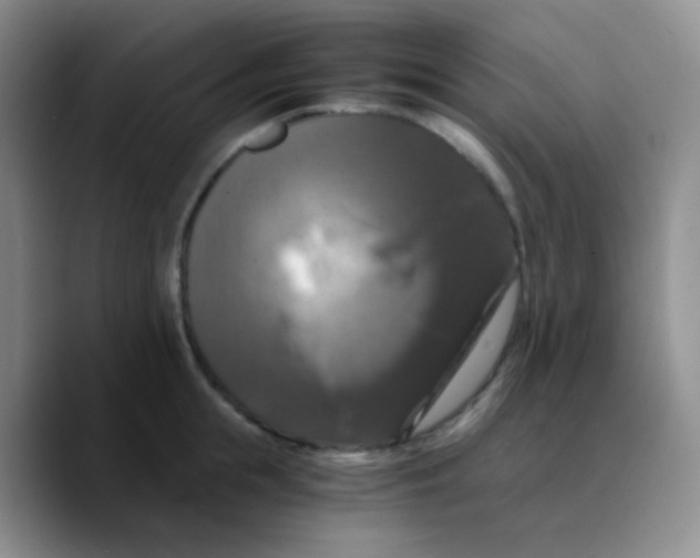 X0000089730855200707201840