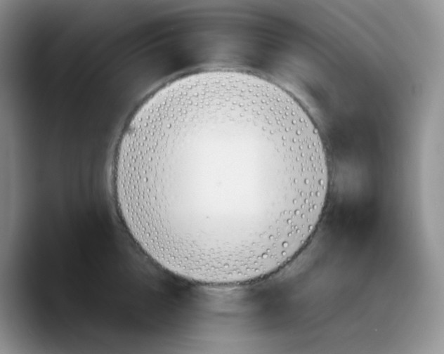 X0000089730856200707201840