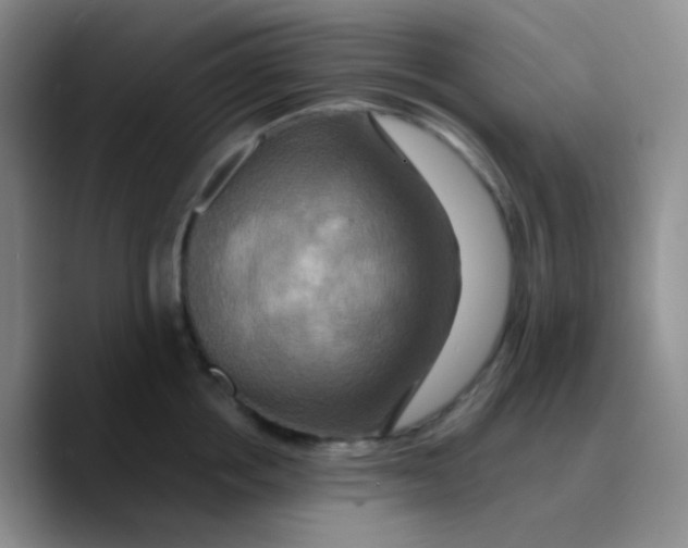 X0000089730858200707201840