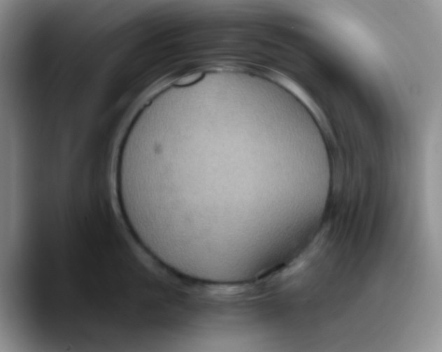 X0000089730861200707201840