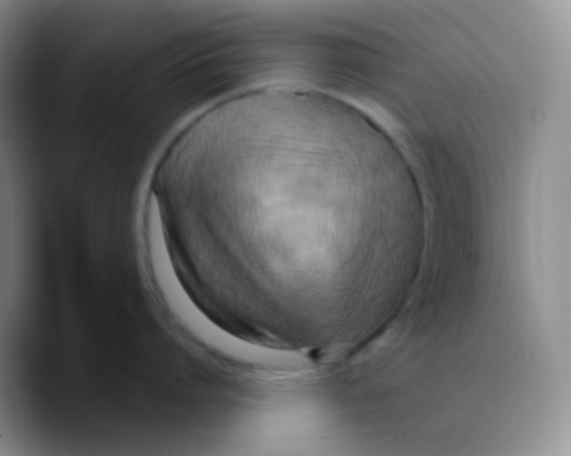 X0000089730864200707201840