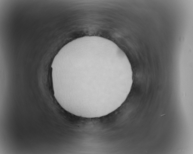 X0000089730865200707201839