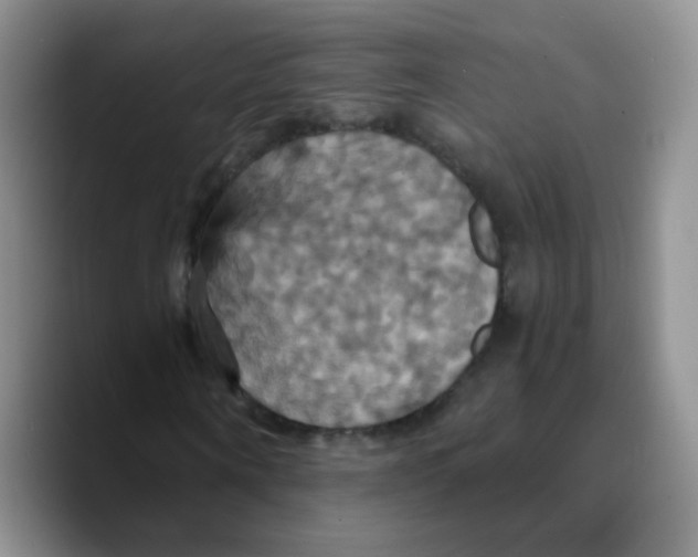 X0000089730866200707201839