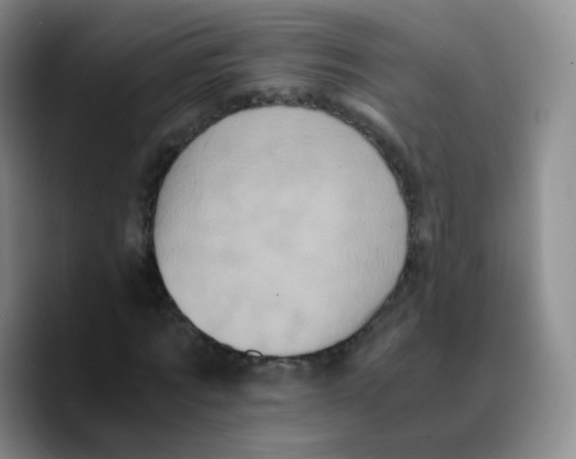 X0000089730869200707201839