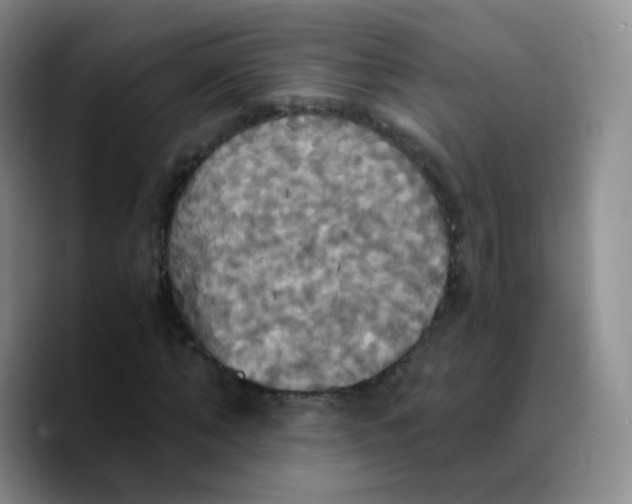 X0000089730870200707201839