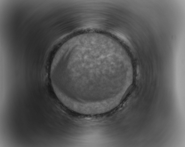 X0000089730872200707201839