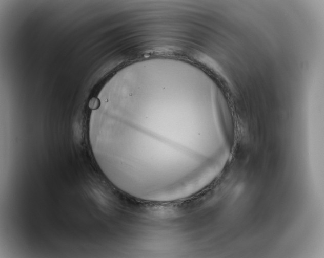 X0000089730874200707201839