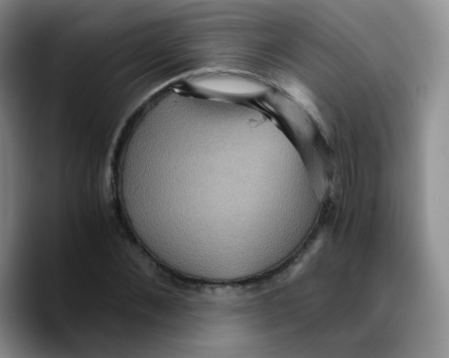 X0000089730876200707201839