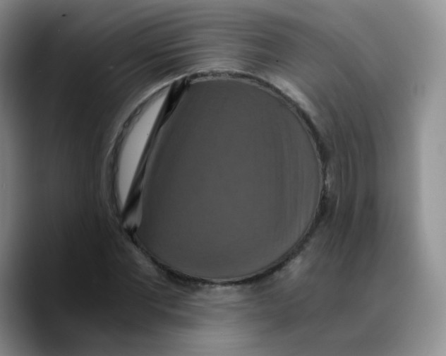 X0000089730877200707201839