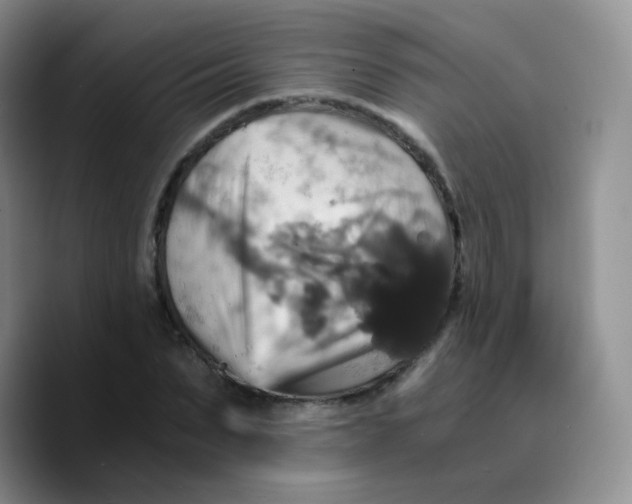X0000089730879200707201839
