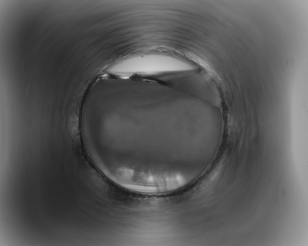X0000089730881200707201839