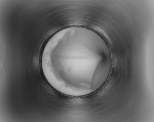 X0000089730882200707201839