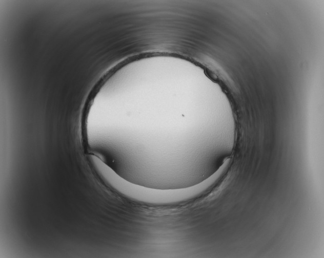 X0000089730884200707201839