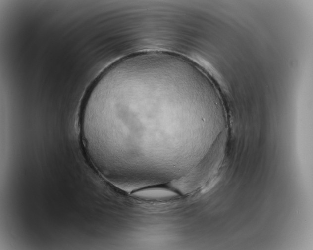 X0000089730885200707201839