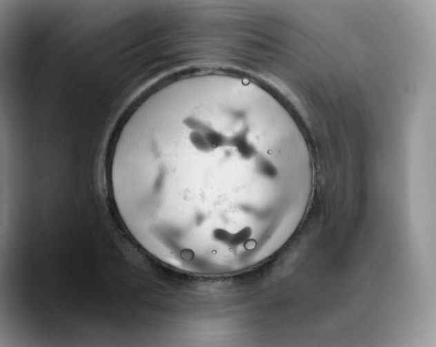 X0000089730887200707201839