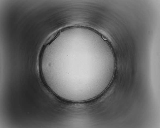 X0000089730888200707201839
