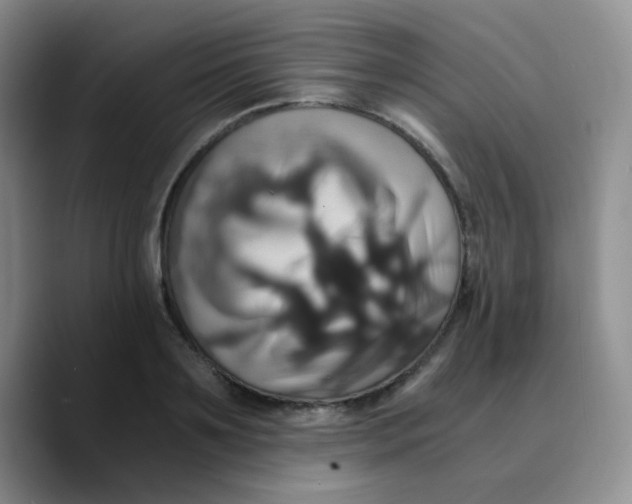 X0000089730891200707201839